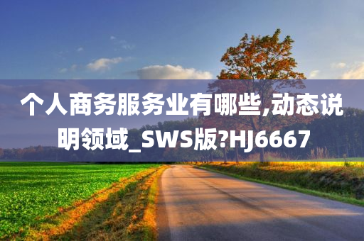 个人商务服务业有哪些,动态说明领域_SWS版?HJ6667