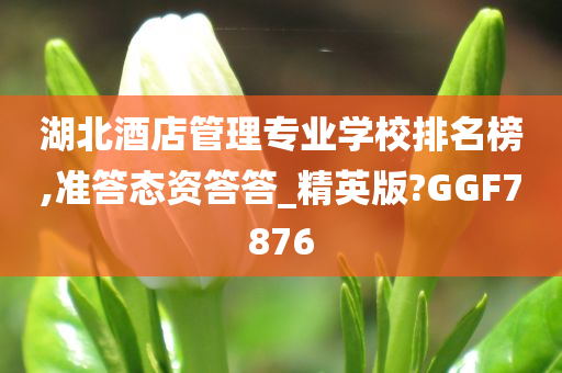 湖北酒店管理专业学校排名榜,准答态资答答_精英版?GGF7876