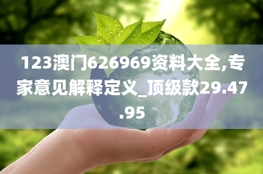 123澳门626969资料大全,专家意见解释定义_顶级款29.47.95