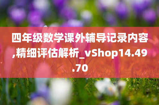 四年级数学课外辅导记录内容,精细评估解析_vShop14.49.70