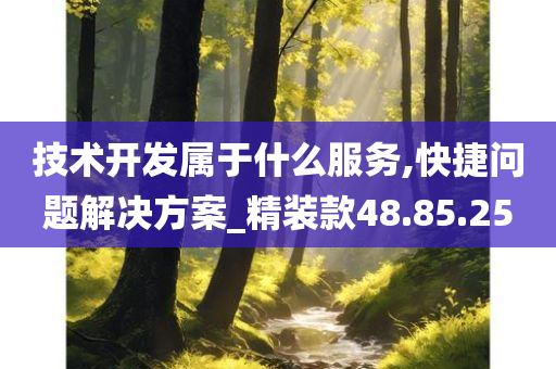 技术开发属于什么服务,快捷问题解决方案_精装款48.85.25