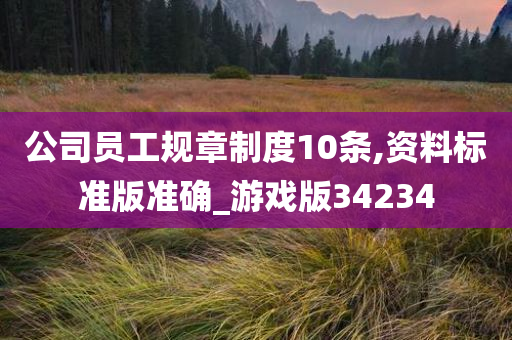 公司员工规章制度10条,资料标准版准确_游戏版34234