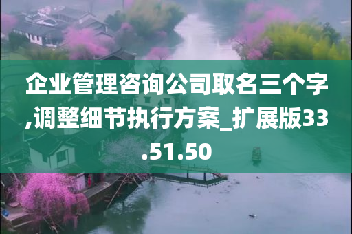 企业管理咨询公司取名三个字,调整细节执行方案_扩展版33.51.50