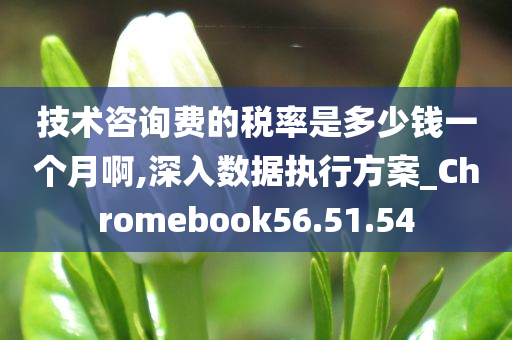 技术咨询费的税率是多少钱一个月啊,深入数据执行方案_Chromebook56.51.54