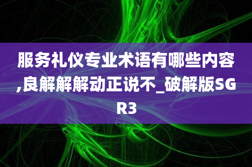 服务礼仪专业术语有哪些内容,良解解解动正说不_破解版SGR3