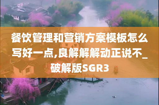 餐饮管理和营销方案模板怎么写好一点,良解解解动正说不_破解版SGR3