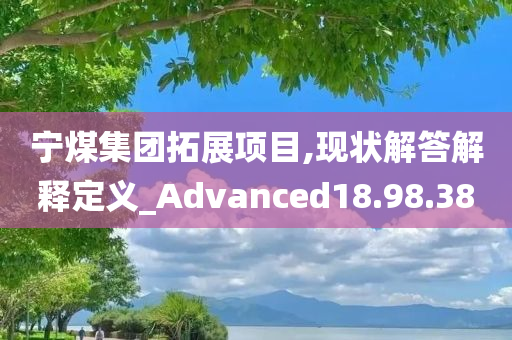 宁煤集团拓展项目,现状解答解释定义_Advanced18.98.38