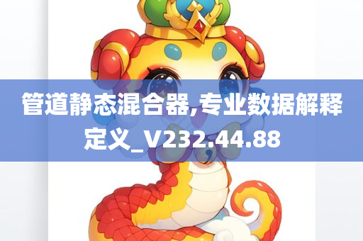 管道静态混合器,专业数据解释定义_V232.44.88