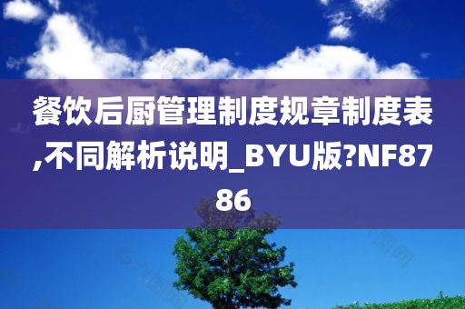 餐饮后厨管理制度规章制度表,不同解析说明_BYU版?NF8786