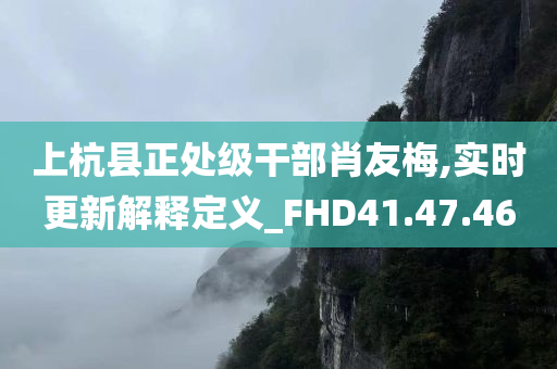 上杭县正处级干部肖友梅,实时更新解释定义_FHD41.47.46