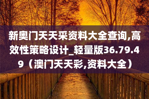 新奥门天天采资料大全查询,高效性策略设计_轻量版36.79.49（澳门天天彩,资料大全）