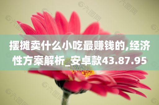 摆摊卖什么小吃最赚钱的,经济性方案解析_安卓款43.87.95