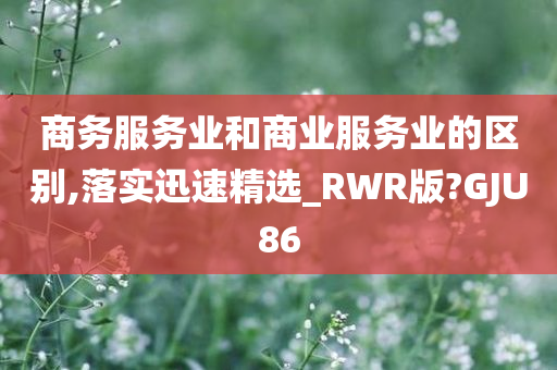 商务服务业和商业服务业的区别,落实迅速精选_RWR版?GJU86