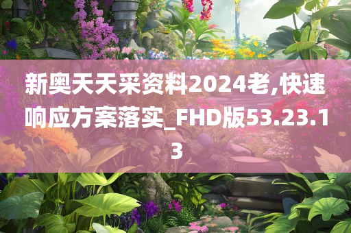 新奥天天采资料2024老,快速响应方案落实_FHD版53.23.13