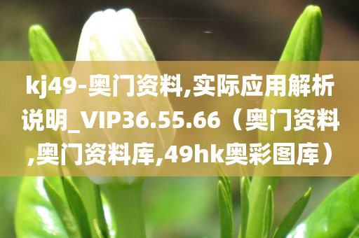 kj49-奥门资料,实际应用解析说明_VIP36.55.66（奥门资料,奥门资料库,49hk奥彩图库）