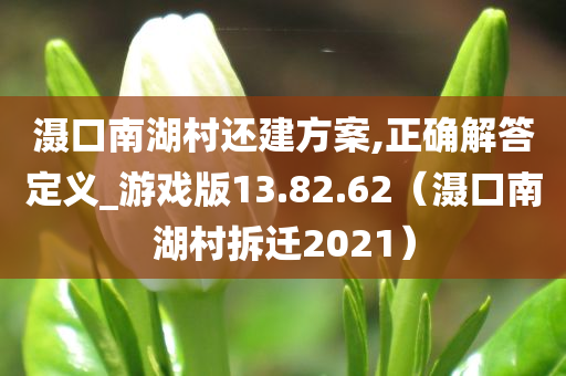 滠口南湖村还建方案,正确解答定义_游戏版13.82.62（滠口南湖村拆迁2021）