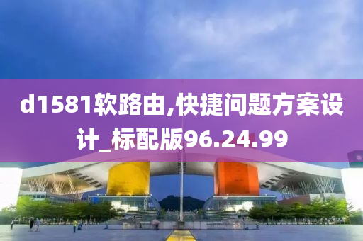 d1581软路由,快捷问题方案设计_标配版96.24.99