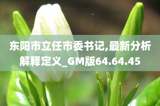 东阳市立任市委书记,最新分析解释定义_GM版64.64.45