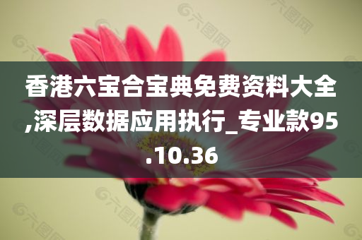 香港六宝合宝典免费资料大全,深层数据应用执行_专业款95.10.36