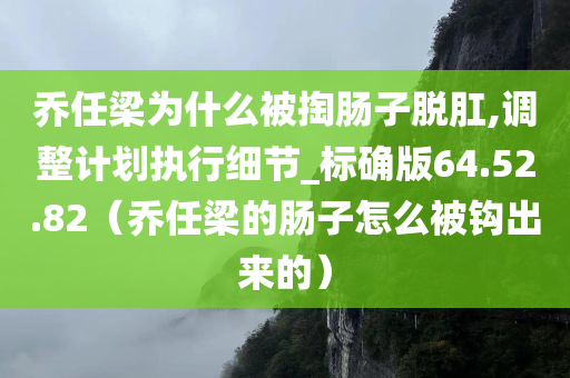 乔任梁为什么被掏肠子脱肛,调整计划执行细节_标确版64.52.82（乔任梁的肠子怎么被钩出来的）