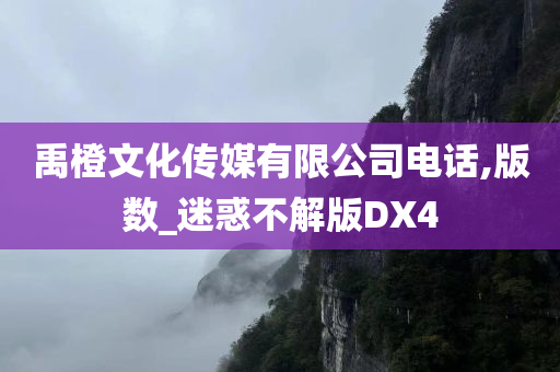 禹橙文化传媒有限公司电话,版数_迷惑不解版DX4