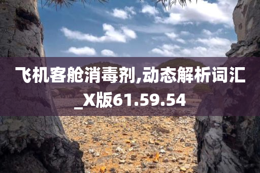 飞机客舱消毒剂,动态解析词汇_X版61.59.54