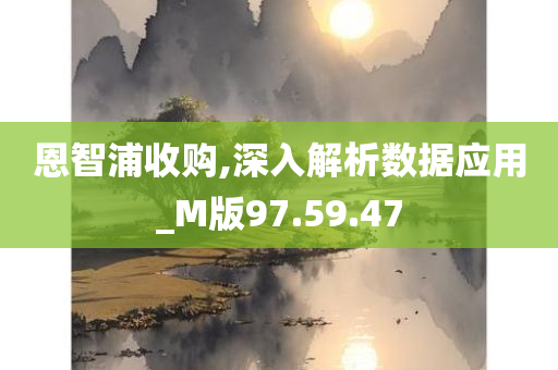 恩智浦收购,深入解析数据应用_M版97.59.47