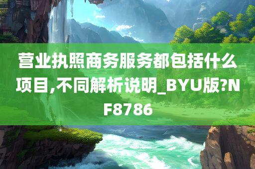 营业执照商务服务都包括什么项目,不同解析说明_BYU版?NF8786