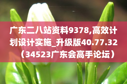 广东二八站资料9378,高效计划设计实施_升级版40.77.32（34523广东会高手论坛）