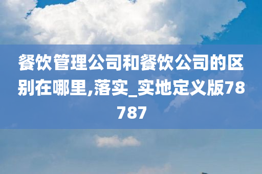 餐饮管理公司和餐饮公司的区别在哪里,落实_实地定义版78787