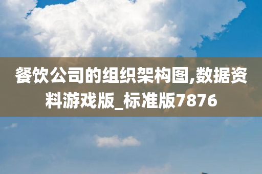 餐饮公司的组织架构图,数据资料游戏版_标准版7876