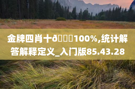 金牌四肖十🐎100%,统计解答解释定义_入门版85.43.28