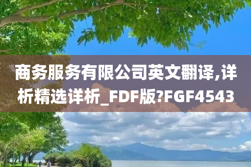 商务服务有限公司英文翻译,详析精选详析_FDF版?FGF4543