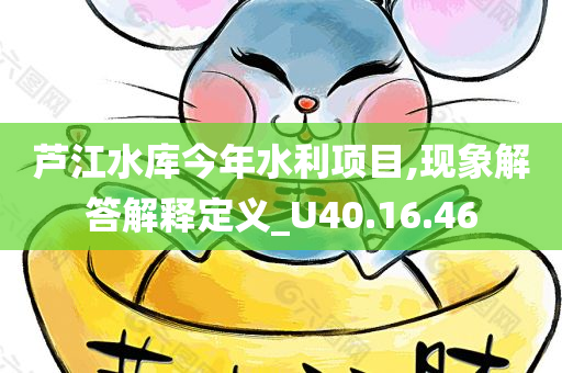 芦江水库今年水利项目,现象解答解释定义_U40.16.46