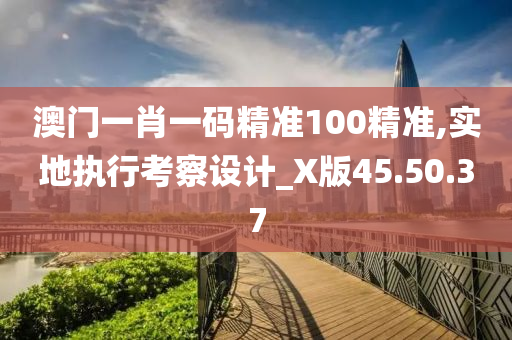 澳门一肖一码精准100精准,实地执行考察设计_X版45.50.37