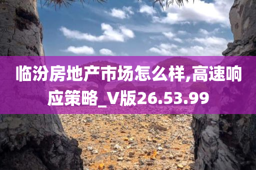 临汾房地产市场怎么样,高速响应策略_V版26.53.99