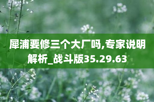 犀浦要修三个大厂吗,专家说明解析_战斗版35.29.63