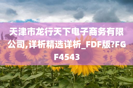 天津市龙行天下电子商务有限公司,详析精选详析_FDF版?FGF4543