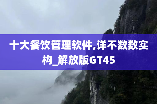 十大餐饮管理软件,详不数数实构_解放版GT45