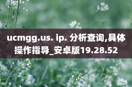 ucmgg.us. ip. 分析查询,具体操作指导_安卓版19.28.52