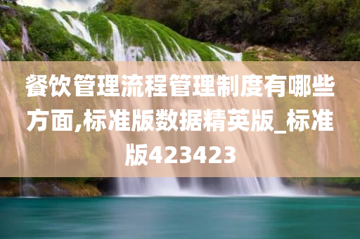 餐饮管理流程管理制度有哪些方面,标准版数据精英版_标准版423423