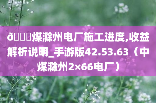 🀄煤滁州电厂施工进度,收益解析说明_手游版42.53.63（中煤滁州2×66电厂）