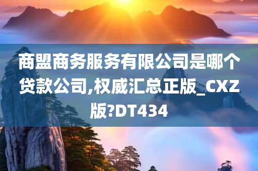 商盟商务服务有限公司是哪个贷款公司,权威汇总正版_CXZ版?DT434