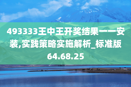 493333王中王开奖结果一一安装,实践策略实施解析_标准版64.68.25