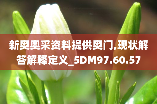 新奥奥采资料提供奥门,现状解答解释定义_5DM97.60.57