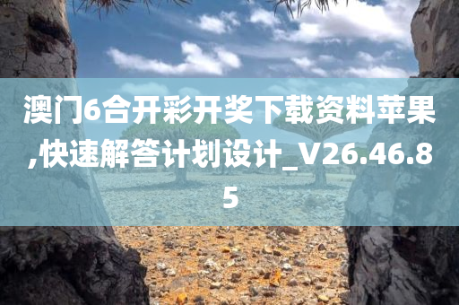 澳门6合开彩开奖下载资料苹果,快速解答计划设计_V26.46.85