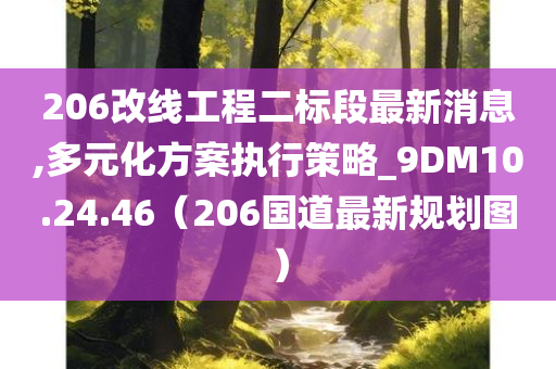 206改线工程二标段最新消息,多元化方案执行策略_9DM10.24.46（206国道最新规划图）