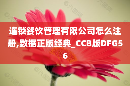 连锁餐饮管理有限公司怎么注册,数据正版经典_CCB版DFG56