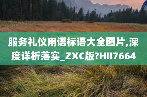 服务礼仪用语标语大全图片,深度详析落实_ZXC版?HII7664