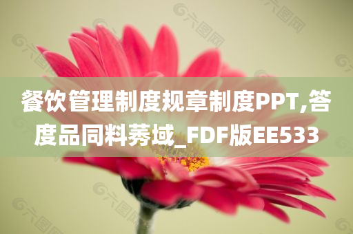 餐饮管理制度规章制度PPT,答度品同料莠域_FDF版EE533